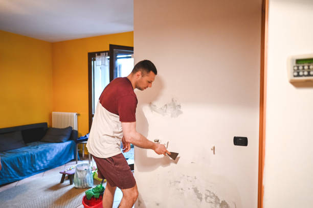 Best Mold Remediation for Specific Building Types in Combee Settlement, FL